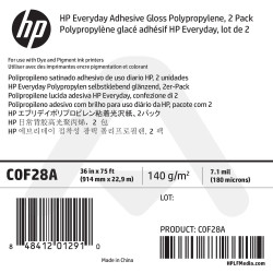 Polypropylène Glacé Adhésif HP - 914 mm x 22,90 m - 140g - C0F28A - Pack de 2 bobines