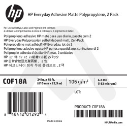 Polypropylène Mat Adhésif HP - 610 mm x 22,90 m - 120g - C0F18A - Pack de 2 bobines