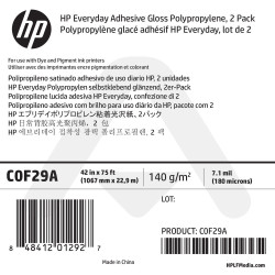 Polypropylène Glacé Adhésif HP - 1067 mm x 22,90 m - 140g - C0F29A - Pack de 2 bobines